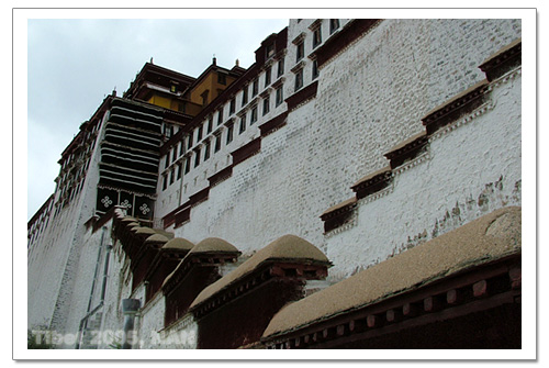 照片：藏行记之拉萨：仰望布达拉宫
