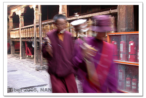 照片：藏行记之拉萨：大昭寺内转经的人们