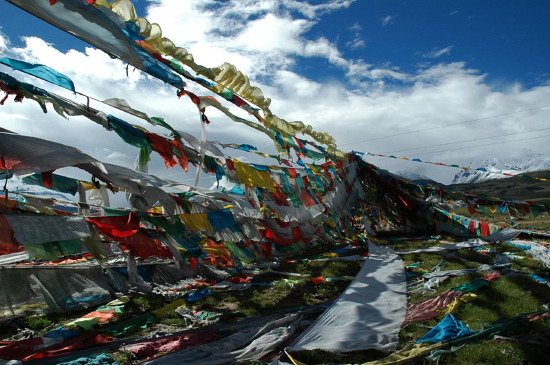 西藏照片：西藏,经幡