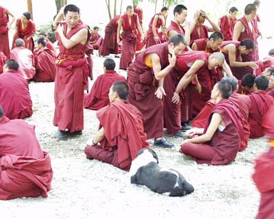 西藏照片：喇嘛辩经情景
