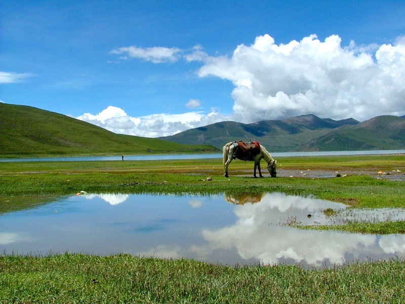 西藏图片：羊卓雍错