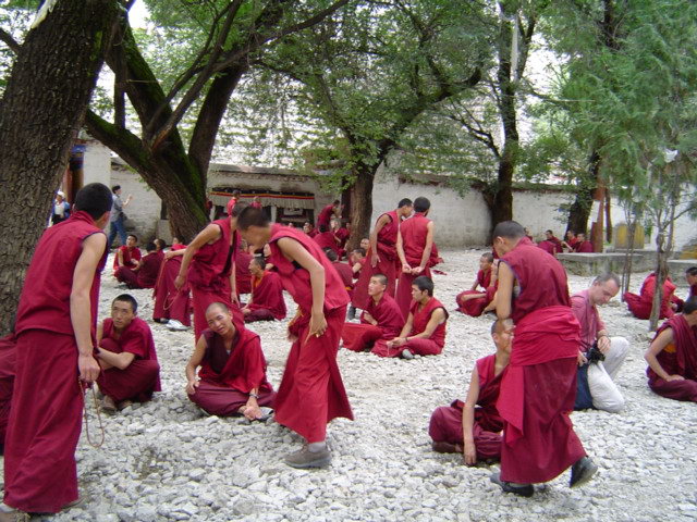 西藏图片：色拉寺看辩经
