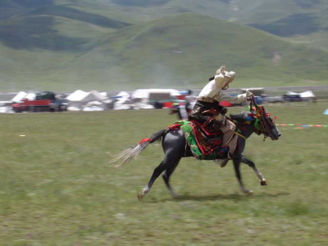 西藏图片：策马飞奔