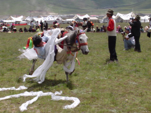 西藏图片：赛马节的骑射表演4