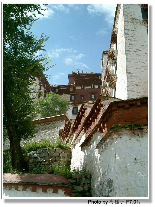 西藏照片：布达拉宫2