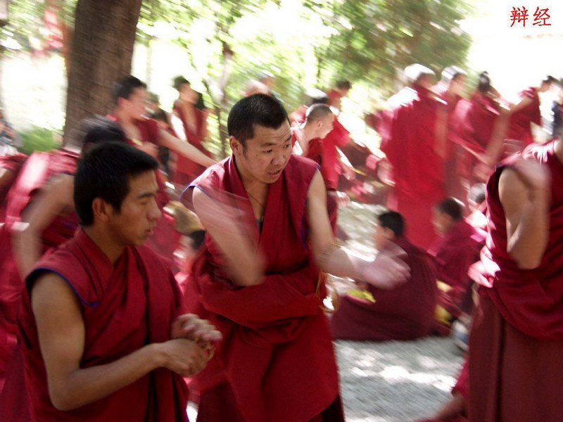 西藏照片：辩经（1）