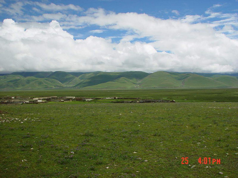 西藏照片：当雄草原1