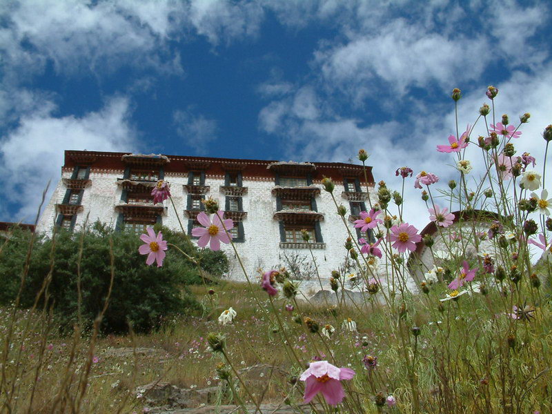 西藏照片：布宫仰望
