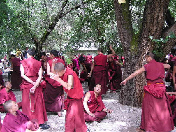 西藏照片：色拉寺的辩经