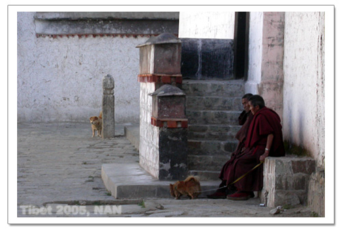 照片：藏行记之日喀则：扎什伦布寺牵狗的喇嘛