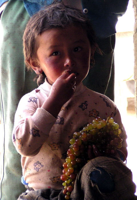 西藏旅行照片：阿里-西藏阿里吃葡萄的小孩2