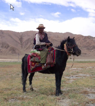 西藏旅行照片：阿里-班公错的牧人