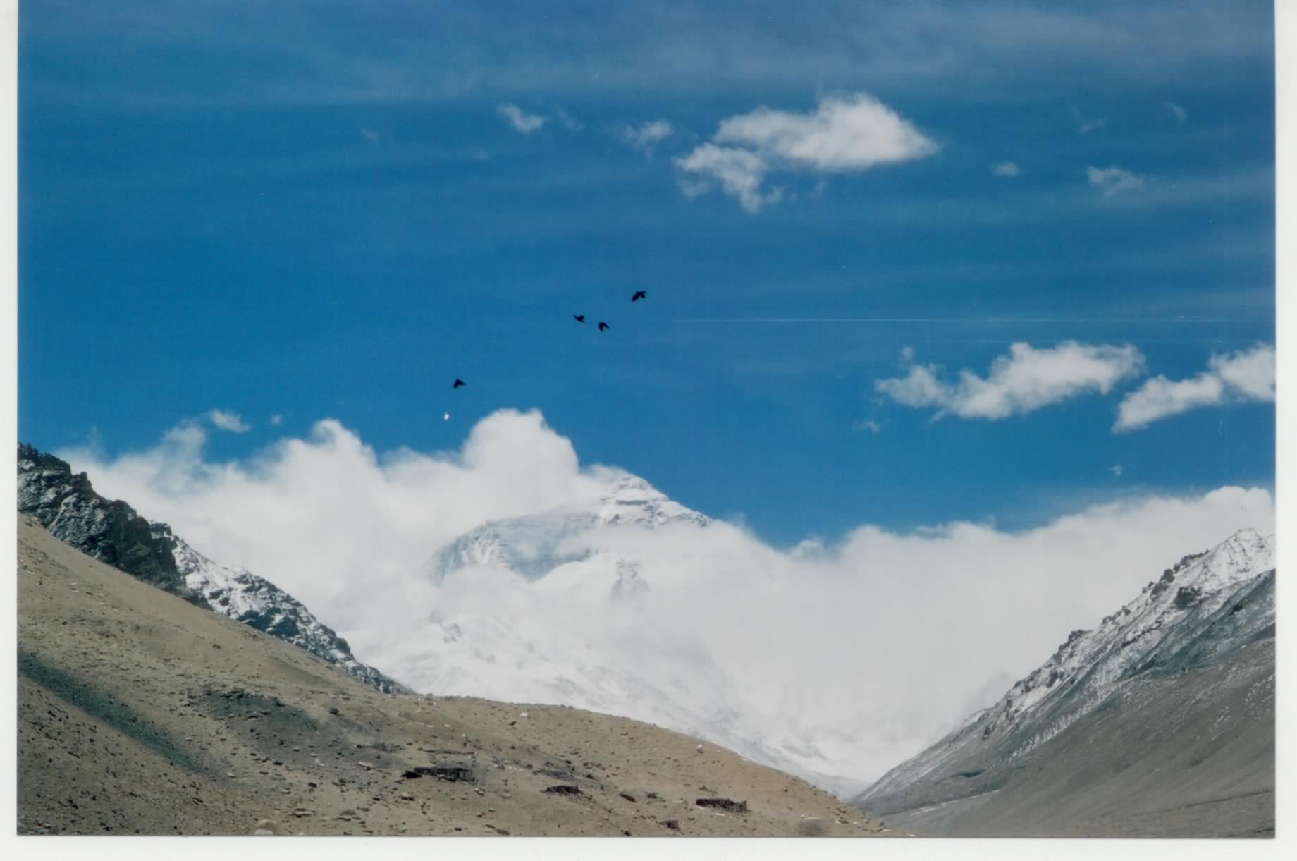 西藏旅行照片：阿里-鸟儿的珠穆朗玛