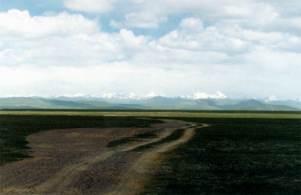 西藏旅行照片：阿里-西藏风景——草原