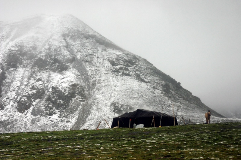 西藏林芝图片：米拉深山有人家